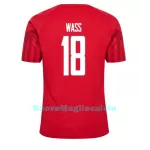 Maglia Danimarca Daniel Wass 18 Uomo Primo Mondiali 2022