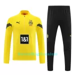 Borussia Dortmund Felpe da Allenamento Uomo 1/4-Zip 2022-23 Gialla