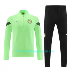 Senegal Felpe da Allenamento Uomo 1/4-Zip 2022-23 Verde Senegal Felpe da Allenamento Uomo 1/4-Zip 2022-23 Verde