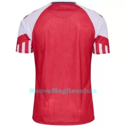 Maglia Danimarca Uomo Primo 2023