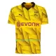 Maglia Borussia Dortmund Cup Uomo 2023/24