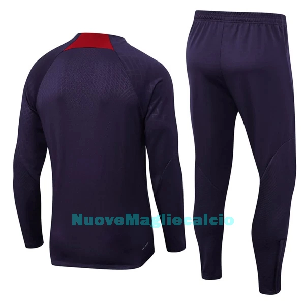 Paris Saint-Germain Tute Felpe da Allenamento Uomo 1/4-Zip 2023/24 Viola