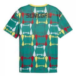 Maglia Senegal Uomo Primo 2023/24