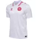 Maglia Danimarca Uomo Secondo Euro 2024