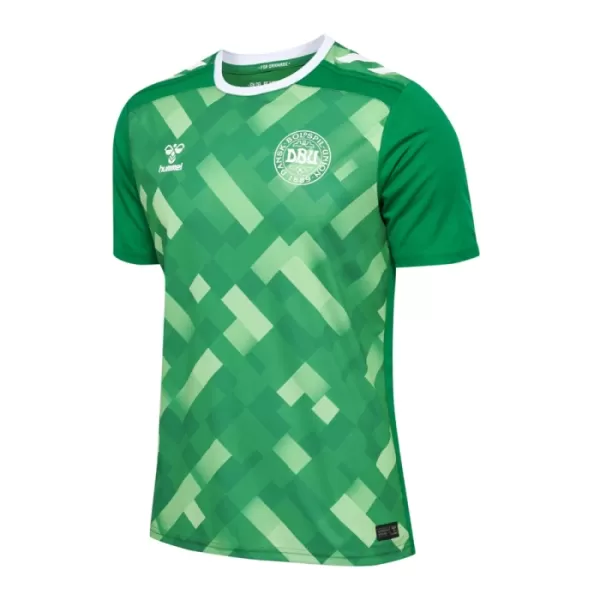 Maglia Portiere Danimarca Uomo Euro 2024 Verde