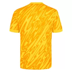 Maglia Portiere Tottenham Hotspur Uomo 2024/25 Gialla