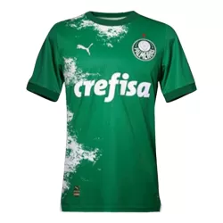 Maglia Palmeiras Uomo 2024 Verde - Speciale Maglia Palmeiras Uomo 2024 Verde - Speciale