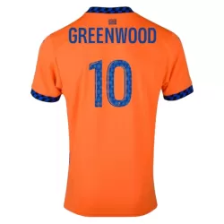 Maglia Marsiglia Greenwood 10 Uomo 3rd 2024/25