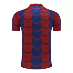 Maglia Barcellona Pre-Match Uomo 2024/25