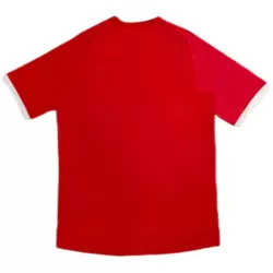 Maglia Inghilterra 2010 Uomo Secondo Retro