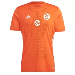 Maglia Nigeria Uomo 2024 - Speciale Maglia Nigeria Uomo 2024 - Speciale
