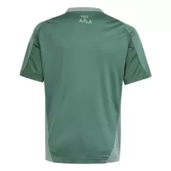 Maglia Nigeria Uomo 2024 Verde - Speciale