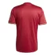 Maglia FC Bayern Monaco Uomo anniversario 2024/25