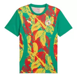 Maglia Senegal Pre-Match Uomo 2024/25 Maglia Senegal Pre-Match Uomo 2024/25