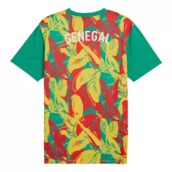 Maglia Senegal Pre-Match Uomo 2024/25