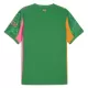 Maglia Portiere Manchester City Uomo 2025-26 Verde
