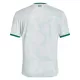 Maglia Irlanda Uomo Secondo 2025-26
