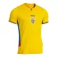 Maglia Romania Uomo Primo 2025 Maglia Romania Uomo Primo 2025