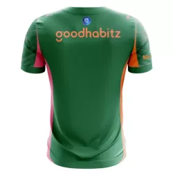 Maglia Portiere PSV Eindhoven Uomo 2025-26 Verde