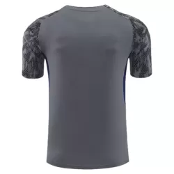 Feyenoord Rotterdam Maglia da Allenamento Uomo 2025-26 Grigia