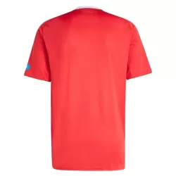 Maglia FC Nurnberg Uomo 3rd 2025-26