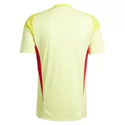 Maglia Portiere Aston Villa Uomo 2025-26 Gialla