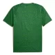 Maglia Manchester City Pre-Match Uomo 2025-26 Verde