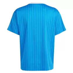 Maglia Real Madrid Terrace Icons Uomo 2025-26 Blu