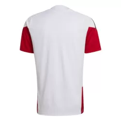 Germania Maglia da Allenamento Uomo Mondiali 2026 Bianca