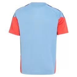 Giappone Maglia da Allenamento Uomo Mondiali 2026 Blu