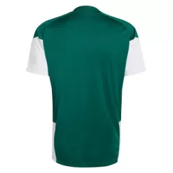 Italia Maglia da Allenamento Uomo Mondiali 2026 Verde