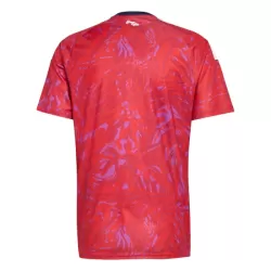 Maglia Costa Rica Uomo Primo Mondiali 2026