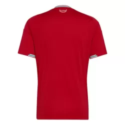 Maglia Galles Uomo Primo Mondiali 2026