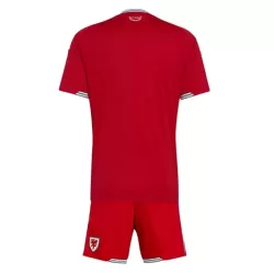 Completo calcio Galles Bambino Primo Mondiali 2026
