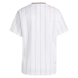 Maglia Aston Villa Terrace Icons Uomo 2025-26
