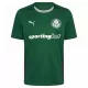 Maglia Palmeiras Uomo Primo 2026-27 Maglia Palmeiras Uomo Primo 2026-27