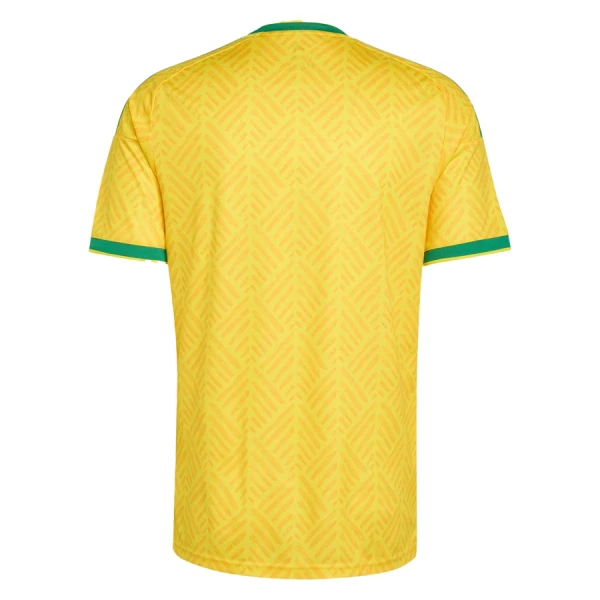 Maglia Sud Africa Uomo Primo Mondiali 2026