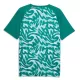 Maglia Portogallo Pre-Match Uomo Mondiali 2026 Verde