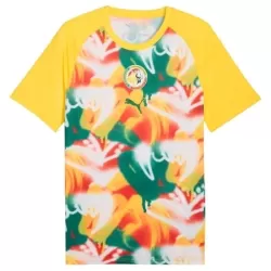 Maglia Senegal Pre-Match Uomo Mondiali 2026