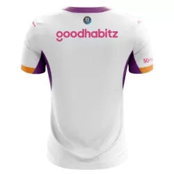 Maglia PSV Eindhoven Uomo Secondo 2026-27