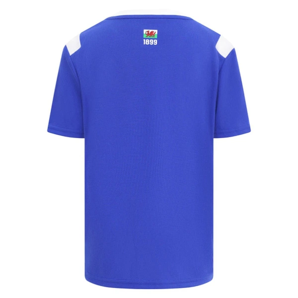 Maglia Cardiff City Uomo Primo 2026-27