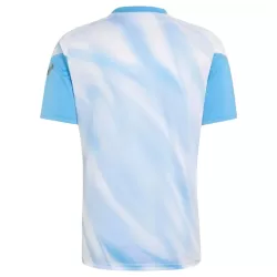Maglia Argentina Farewell Pre-Match Uomo anniversario 2026-27